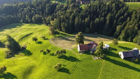 Surrounded by nature, far away from the noise of the streets. Children can play here and be free.