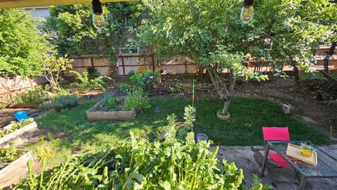 Enjoy a serene retreat in this charming garden space with vibrant greenery.