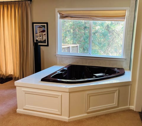 Jacuzzi bath tub in master suite