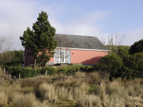 Front view