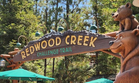 Redwood Creek Challenge Trail - 1.3 miles from the property