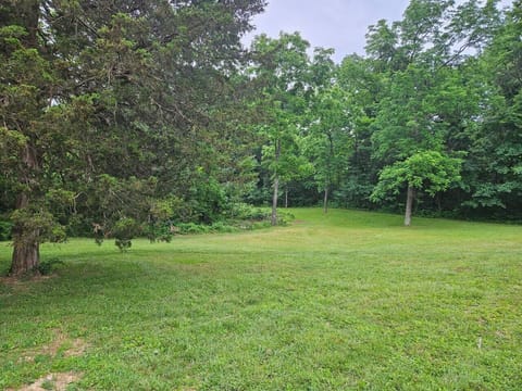 d9409121-e37c-4792-a4cd-7e2235fcf425