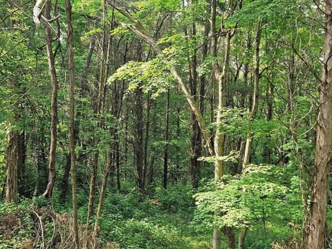 42dfed3a-3e7c-4ade-a8dc-592f5d1338d7