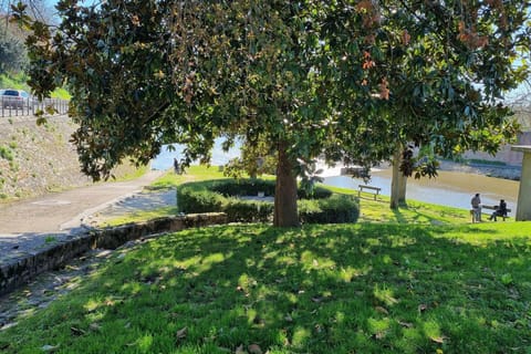 Surroundings [summer] (1-5 km)