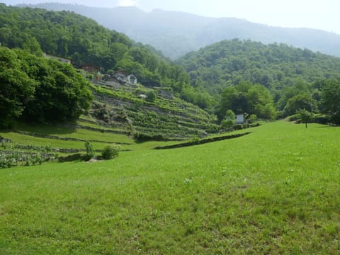 Green, Natural Environment, Mountainous Landforms, Vegetation, Hill, Grassland, Highland, Hill Station, Landscape, Shrub