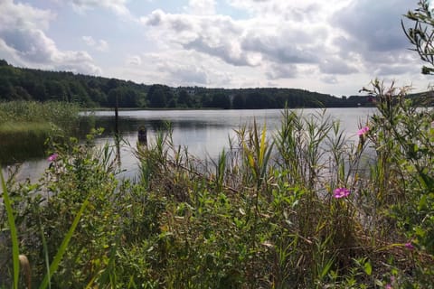 Region [summer] (>5 km)