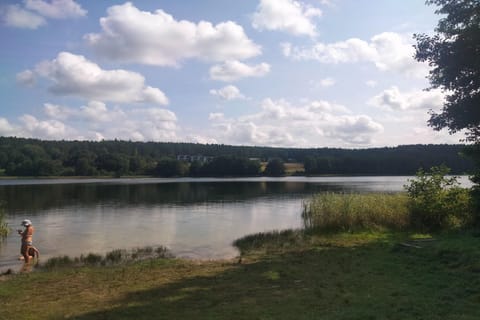 Region [summer] (>5 km)