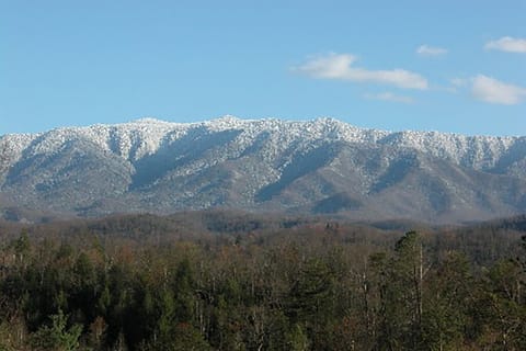 7020oyIgZjazH-20210407123339