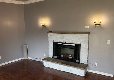 Living Room Fireplace