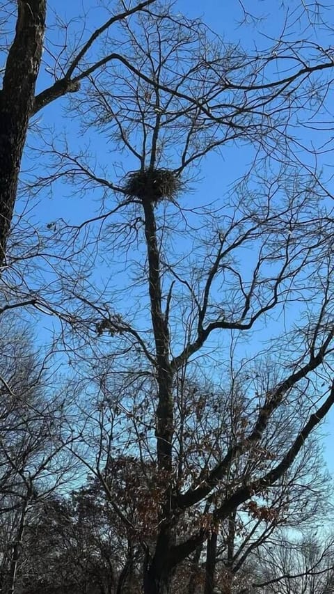 Our neighborhood boasts some interesting homes and architecture. We encourage you to explore the neighborhood by sticking to the roads for your safety and other's privacy. The blessing of undeveloped land is its wildness.... and also, it's danger. 