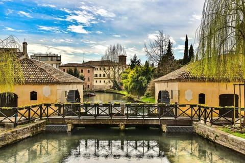 Region [summer] (&gt;5 km)