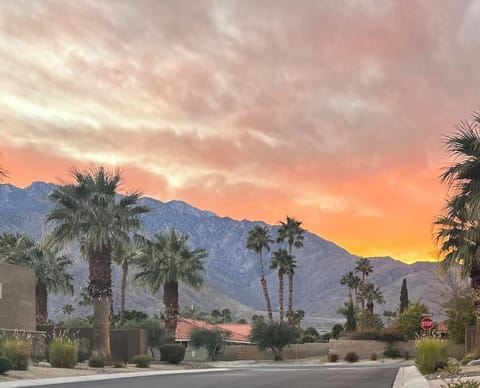 View from Front Yard