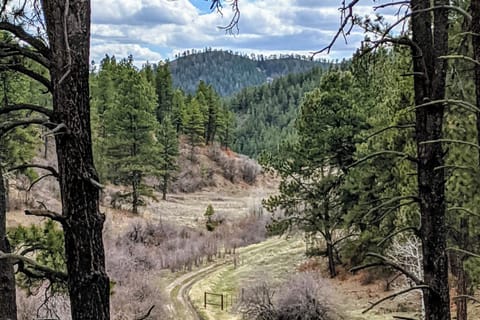 Trails in Forest Lakes
