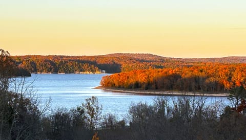 Enjoy the fabulous Fall foliage 