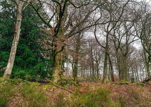 Trossachs Holiday Park, Gartmore