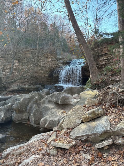 Tanyard Creek 