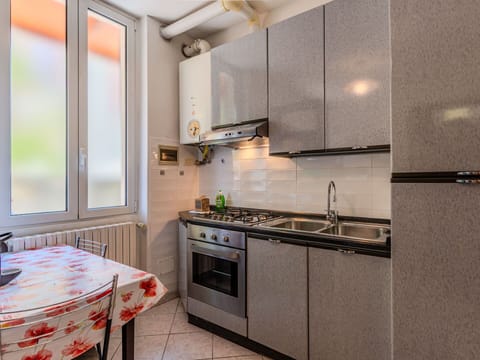 Shade, Balcony, Houseplant, Flowerpot