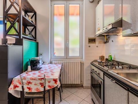 Shade, Balcony, Houseplant, Flowerpot