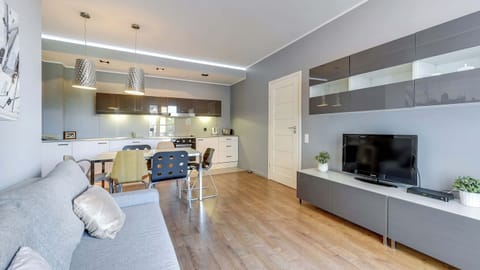 Spacious, comfortable living room with a sofa bed, TV and kitchenette.