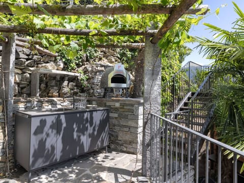 Garden, Concrete, Stone Wall, Shade, Flagstone, Landscaping, Backyard, Flowerpot, Houseplant, Courtyard