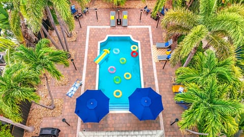 Relax in your private tropical paradise with a sparkling pool, comfy loungers, and lush palms. Perfect for family fun or group getaways in Fort Lauderdale. #VacationRental #FtLauderdaleStay #FamilyVacation