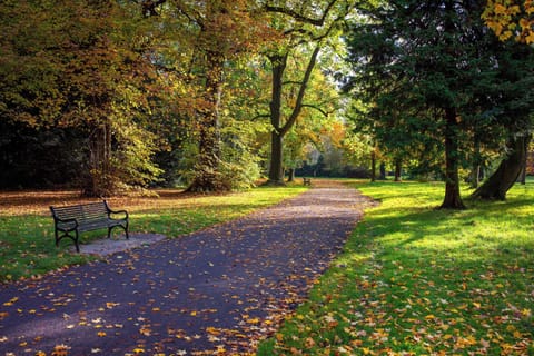 Ormeau Park - 14 mins walk from East Village – Belfast’s oldest municipal park, 100 acres of meadows, woodland paths & active play, framed by mature trees and lively June festivals.