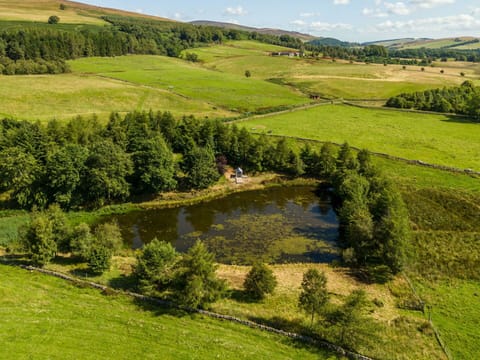 Natural Environment, Natural Landscape, Landscape, Plain, Bank, Grassland, Land Lot, Aerial Photography, Bird'S-Eye View, Rural Area