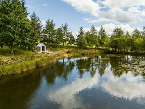 Water, Water Resources, Body Of Water, Green, Tree, Nature, Natural Environment, Natural Landscape, Watercourse, Bank