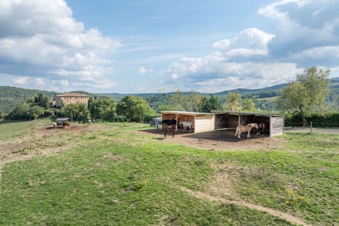 Activities, Autumn, Outdoor, Spring, Summer