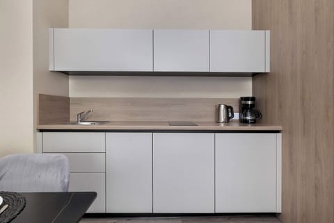 A compact kitchenette with modern cabinetry and minimalist style. Well-equipped for preparing light meals.