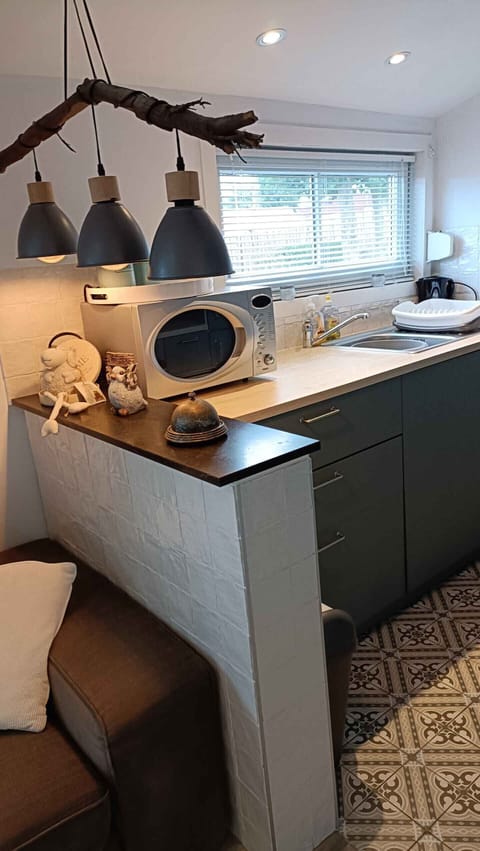 Kitchen of Holiday Park Klein Strand - Luxury Wooden Chalet