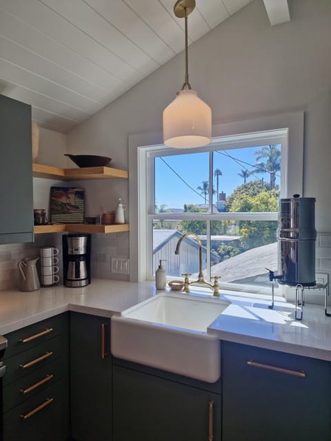 Kohler farmhouse sink with palm tree views