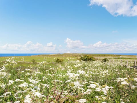 Surrounding area | Seaview Cottage, Wick