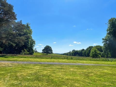 Garden | Amisfield Tower, Dumfries