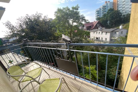 View from Holiday Home [summer]