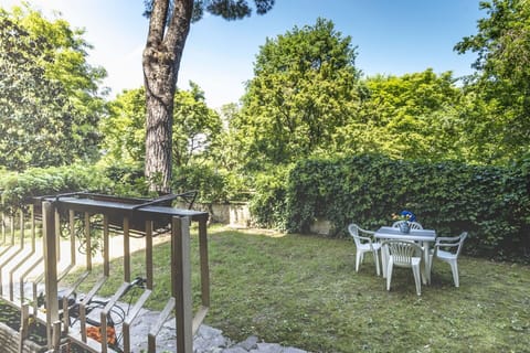 Leaf, Shrub, Garden, Shade, Spring, Sunlight, Backyard, Lawn, Landscaping, Yard