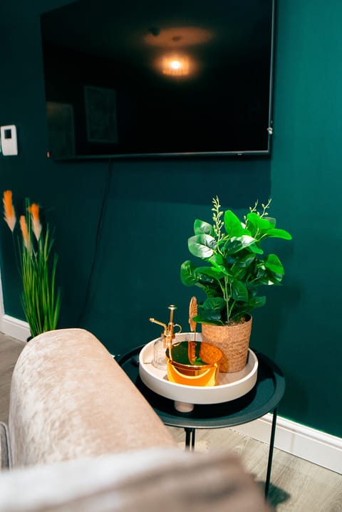 Living Room / Lounge