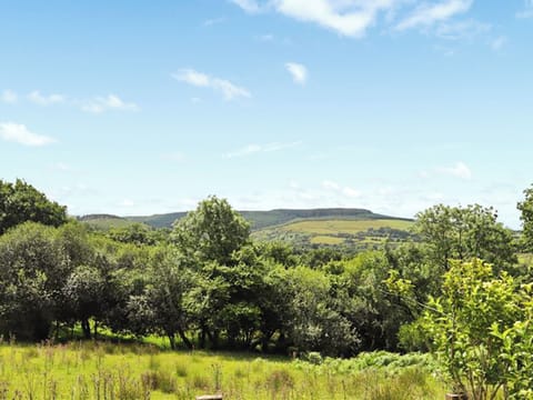 Surrounding area | Farm House - Llwyndryssi Retreats, Llandeilo