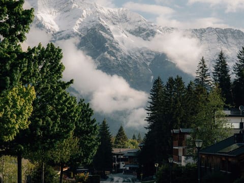 Mountain, Mountainous Landforms, Tree, Mountain Range, Hill, Highland, Hill Station, Cloud, Valley, Ridge