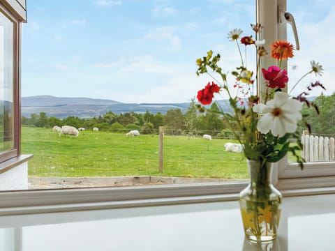 View | Drumlea Cottage, Bonar Bridge, near Lairg