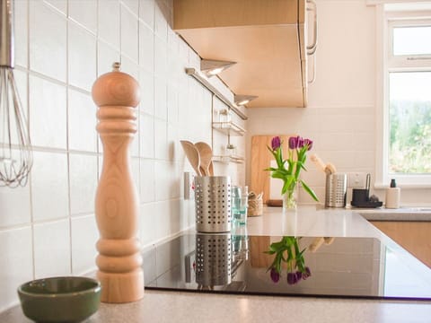 Kitchen, Wood, Flooring, Interior Design, Countertop, Tableware, Lighting, Floor, Cabinetry, Furniture