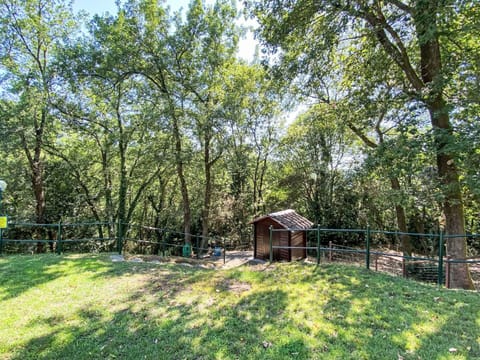 Tree, Nature, Wood, Forest, Woodland, Spring, Fence, Nature Reserve, Trail, Shade