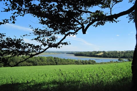 The beautiful Cleddau rivers