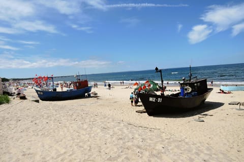 Immediate Surroundings [summer] (<1 km)