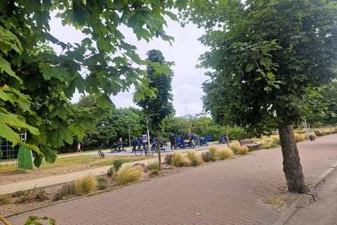 Immediate Surroundings [summer] (<1 km)