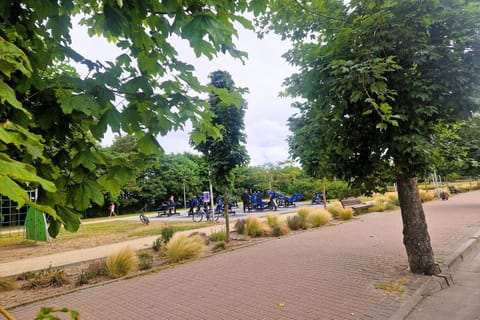 Immediate Surroundings [summer] (<1 km)