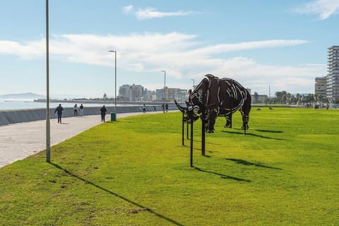 Sea Point and surrounds