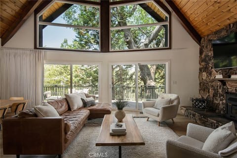 Living Area (Main Level)