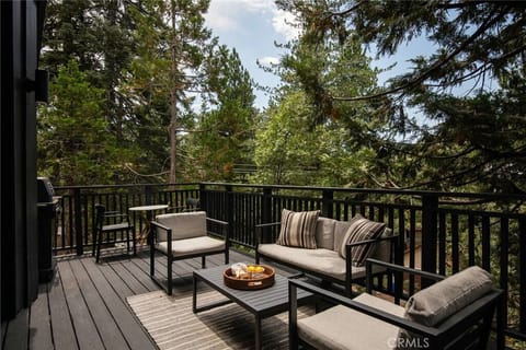 Living Area Deck (Main Level)