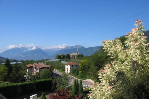 Immediate Surroundings [summer] (&lt;1 km)